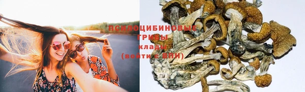 дживик Переславль-Залесский