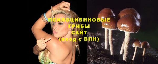 МДМА Пересвет