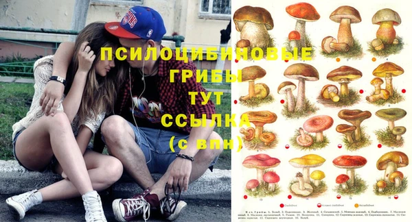 скорость Баксан